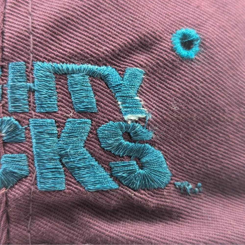 Mighty‎ Ducks Disney NHL C Competitor Ice Hockey Vintage 90s Snapback Hat Cap
